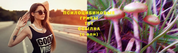 ALPHA-PVP Алзамай