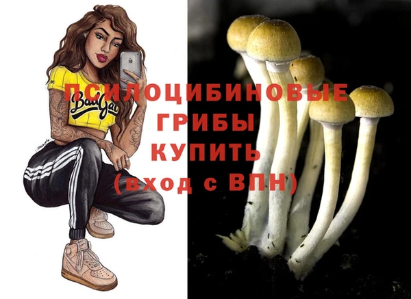 бошки Алексеевка