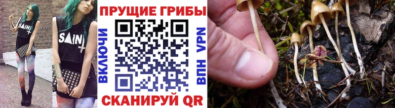 Псилоцибиновые грибы ЛСД Нестеров